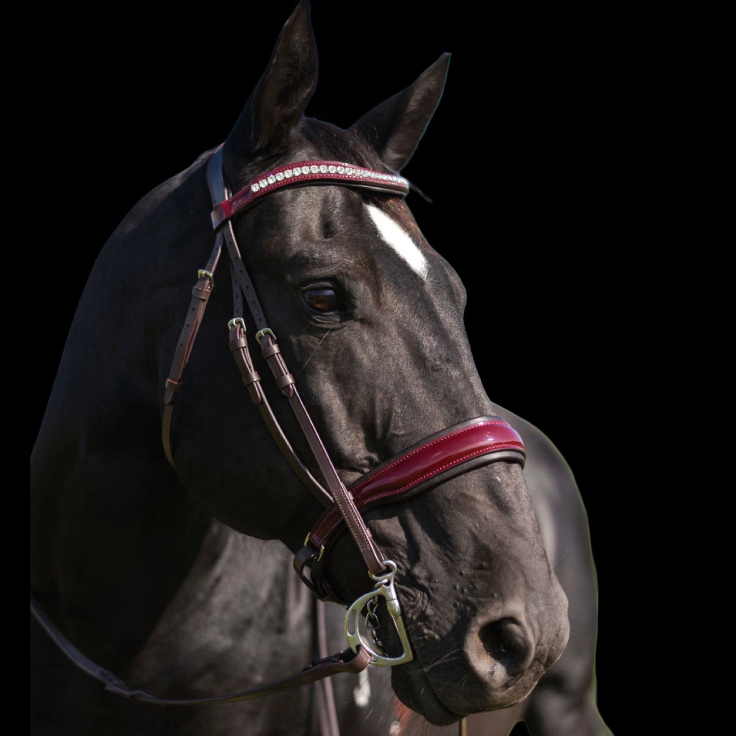Bridle - Burgundy Royale - Warmblood