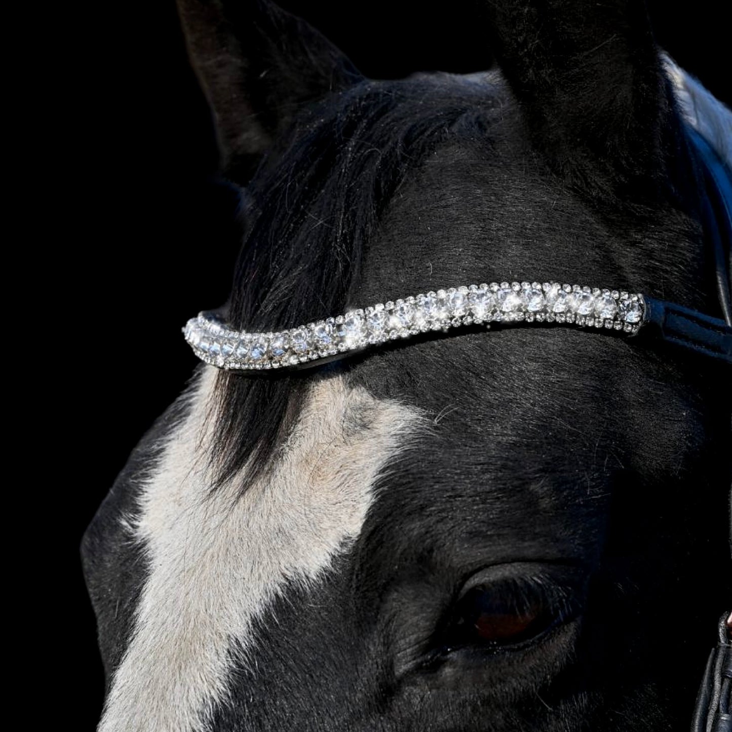 IceT 5 Row Crystal Browbands - Cob 15" Style Diamonds (Final Sale)