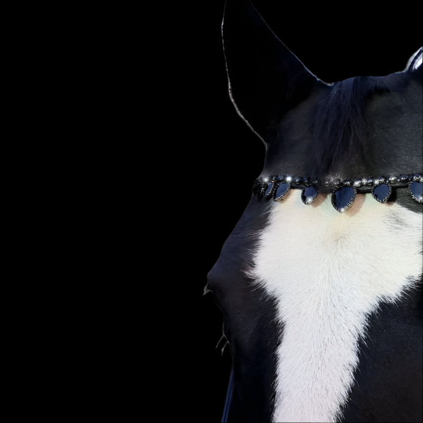 Royal T Browbands - Full 16" Black