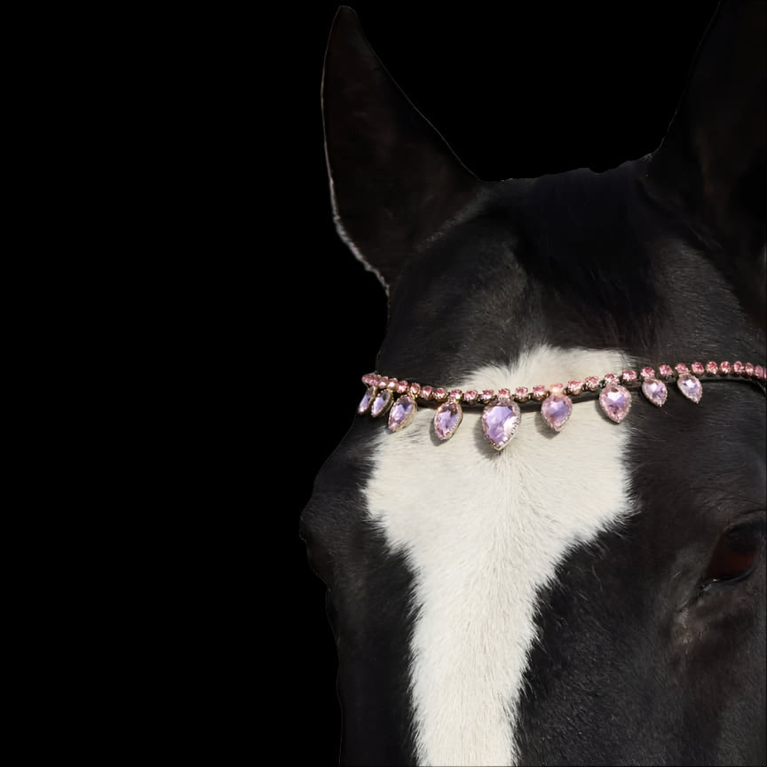 Royal T Browbands - Cob 15" Blush