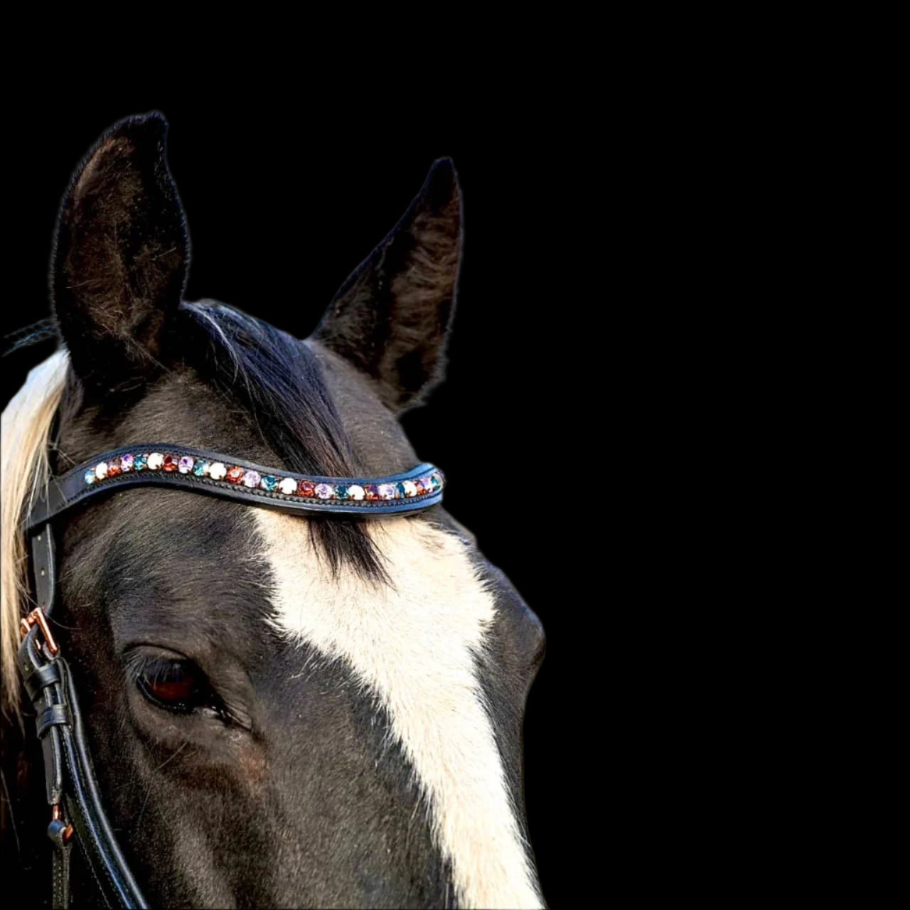 IceT Single Row Browbands - Black Base - Wildflower