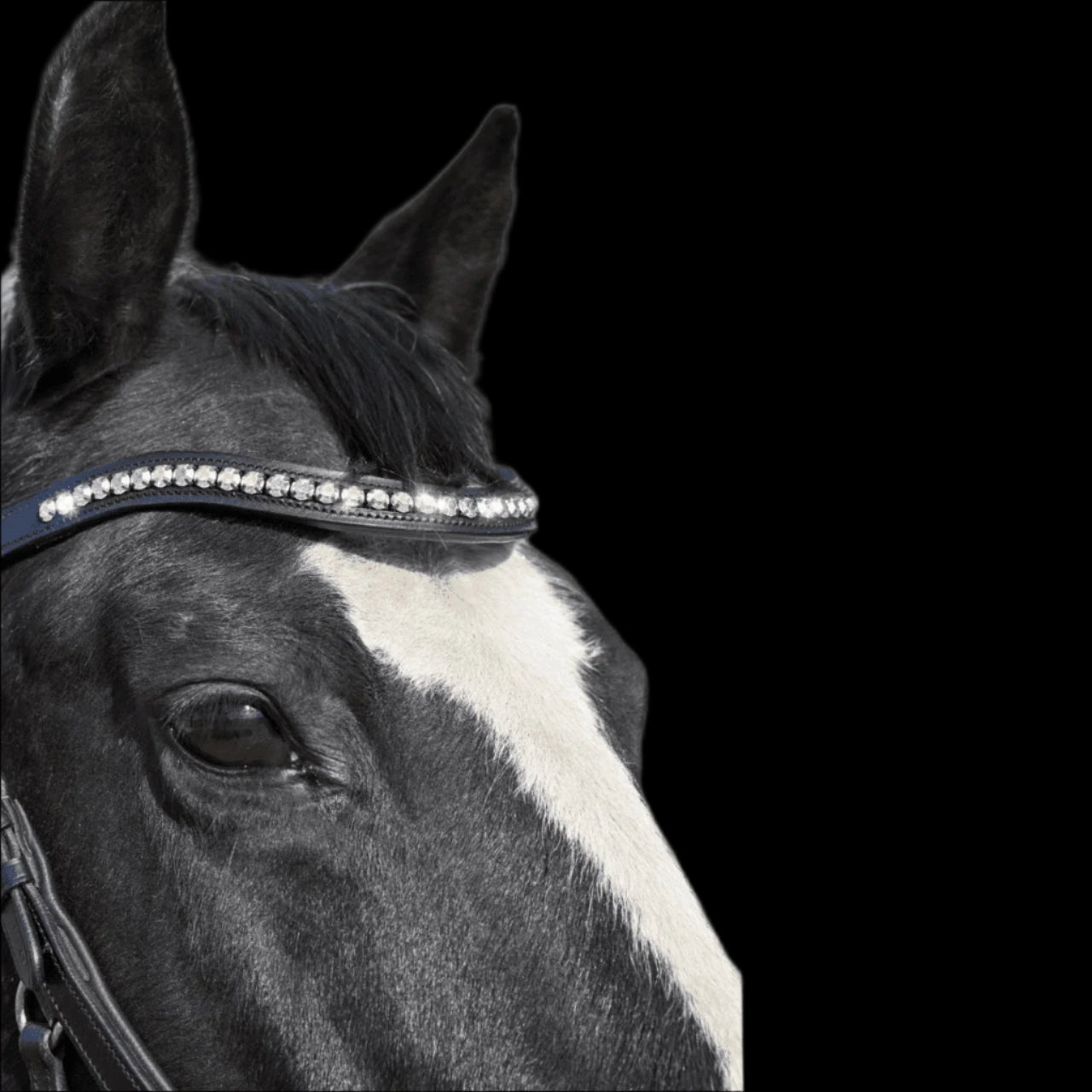 IceT Single Row Browbands - Full 16" - Black Base/ Style - Kate