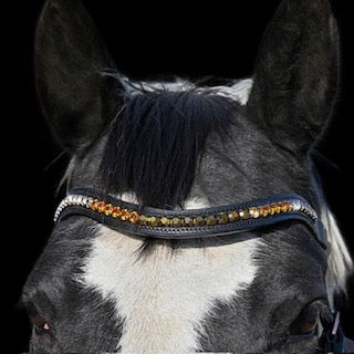 IceT Single Row Browbands - Full 16" - Black Base / Style - Whisky