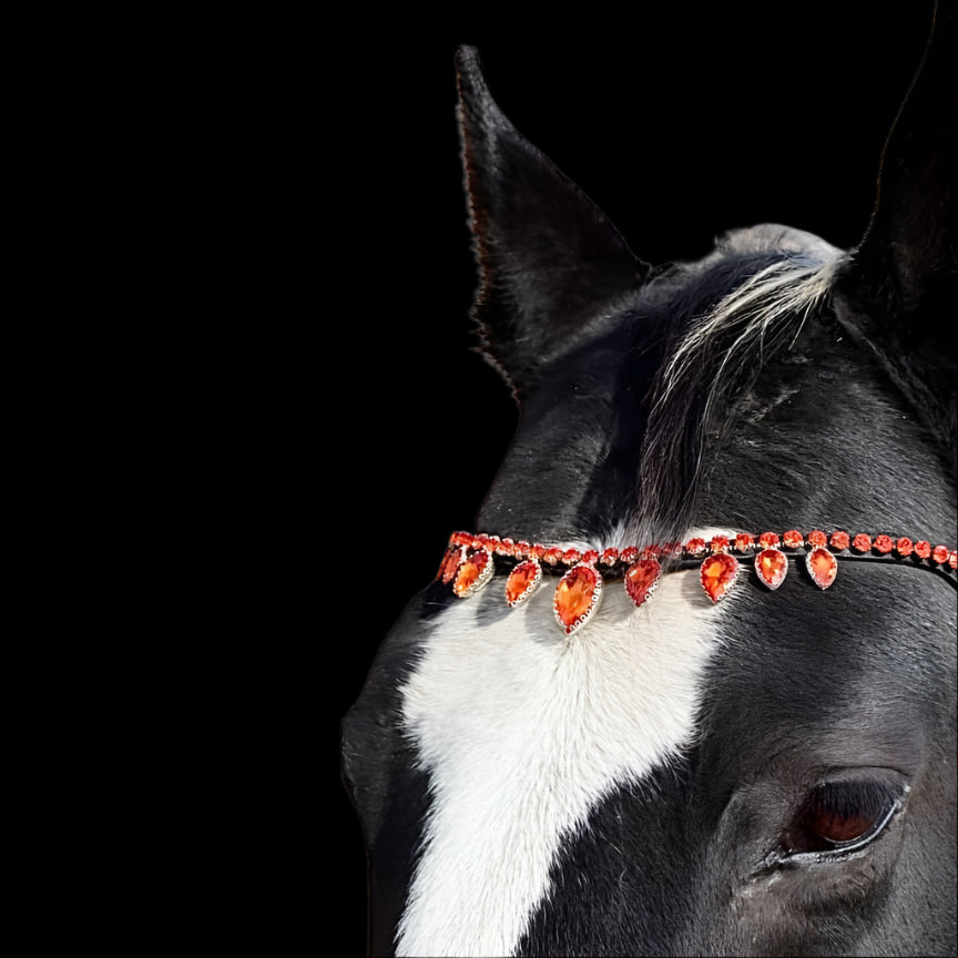 Royal T Browbands - Cob 15" Orange