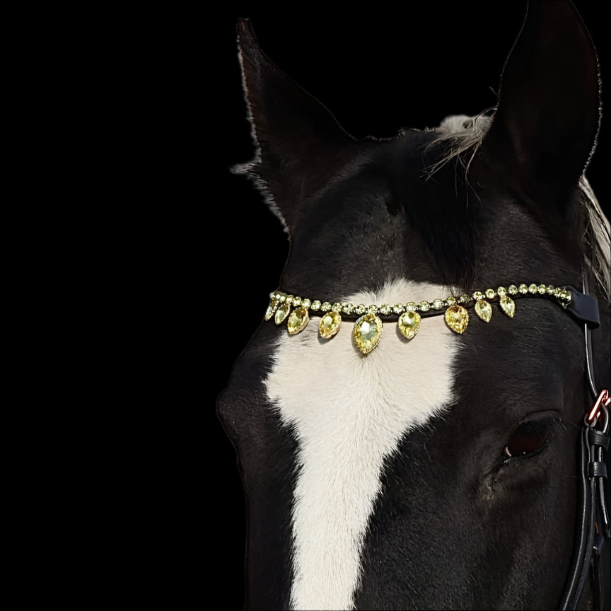Royal T Browbands - Pony 14" Gold