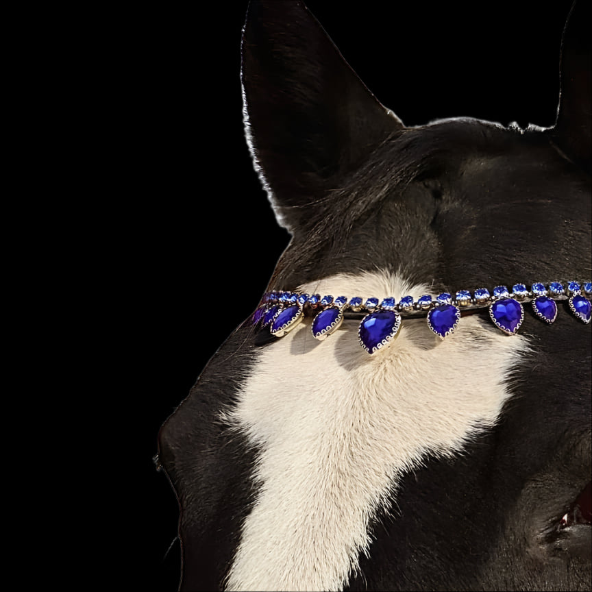 Royal T Browbands - Full 16" Navy