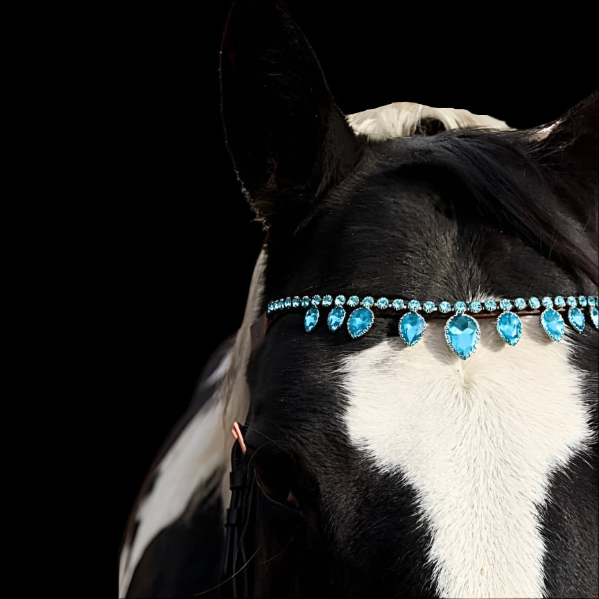 Royal T Browbands - X-Full 17"