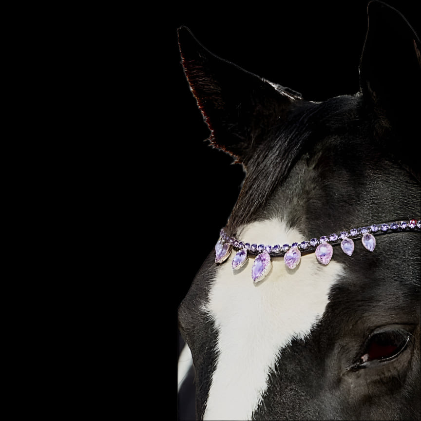 Royal T Browbands - X-Full 17"