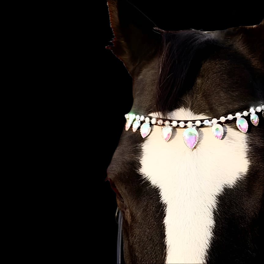 Royal T Browbands - X-Full 17"