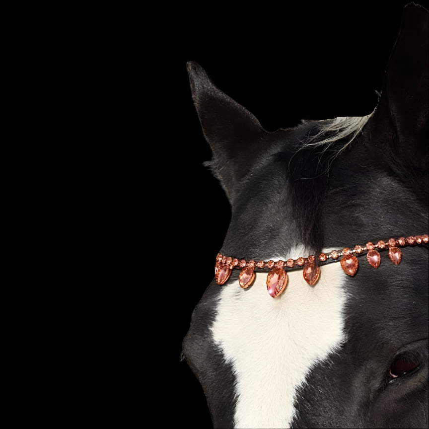 Royal T Browbands - X-Full 17"