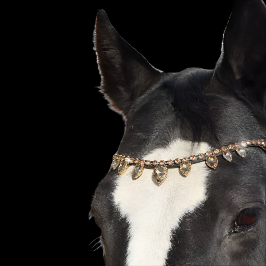 Royal T Browbands - Pony 14" Rose Gold
