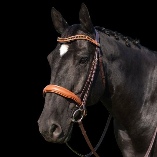 Bridle - Virella - Warmblood