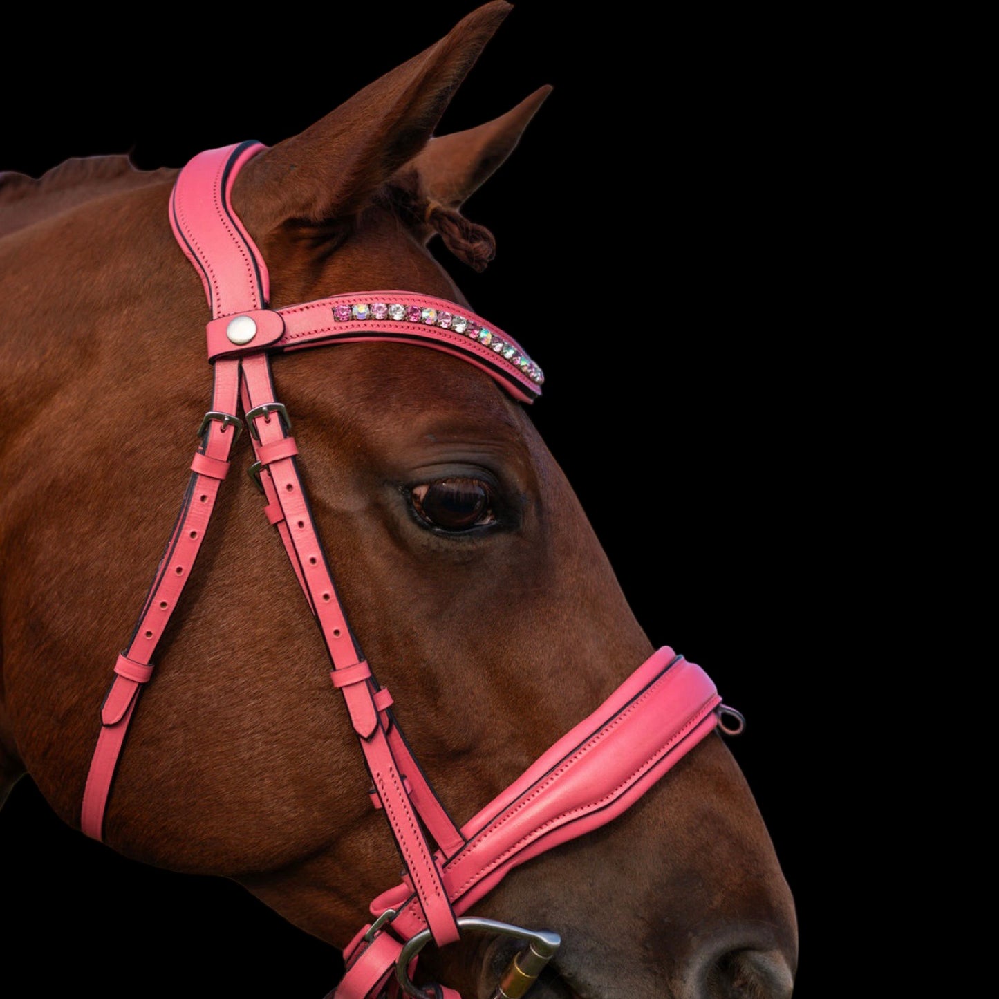 Bridle - Rosé Deluxe - Warmblood