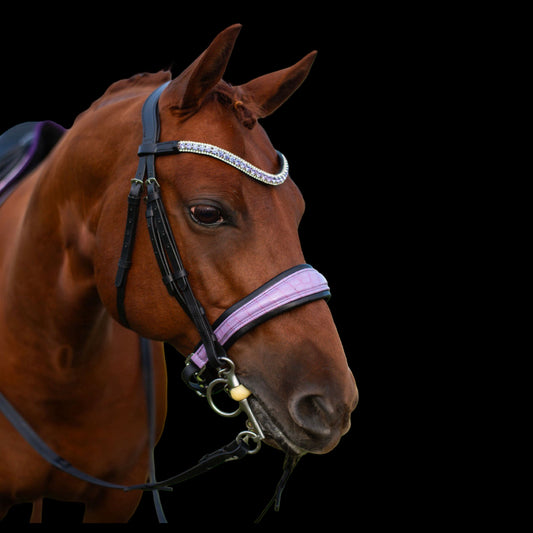 Bridle - Amethyst Croc - Warmblood
