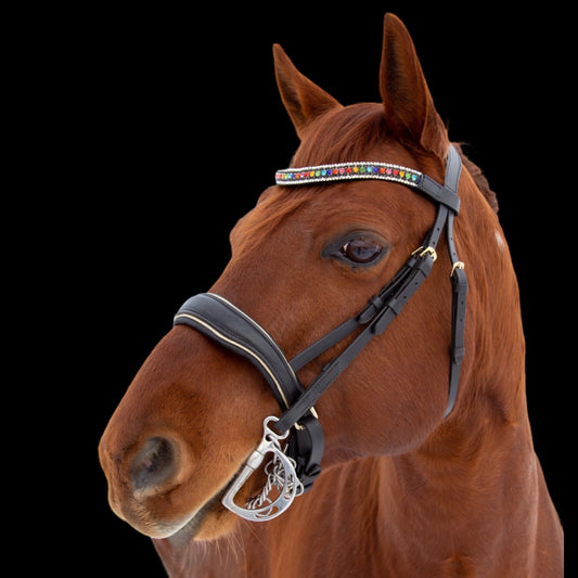 Bridle - Rainbow Elements - Pony