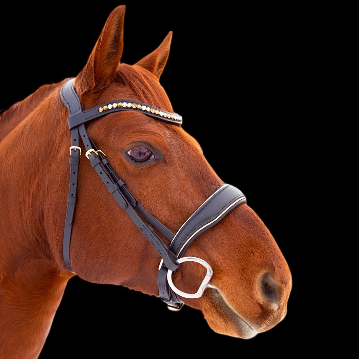 Bridle - Auric Terra Bridle - Cob