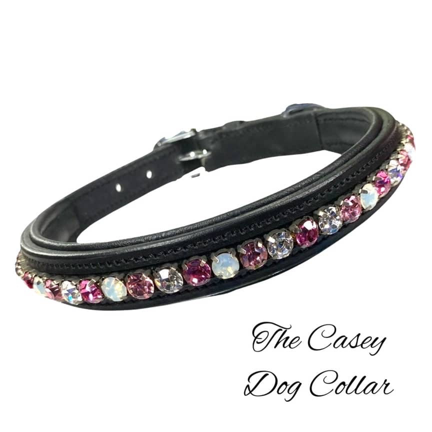 Equestrian dog collars best sale