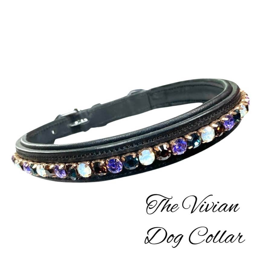 Dog Collars - The Vivian