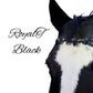 Royal T Browbands - Pony 14"