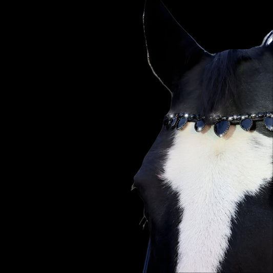 Royal T Browbands - Full 16" Black