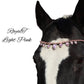 Royal T Browbands - Pony 14"