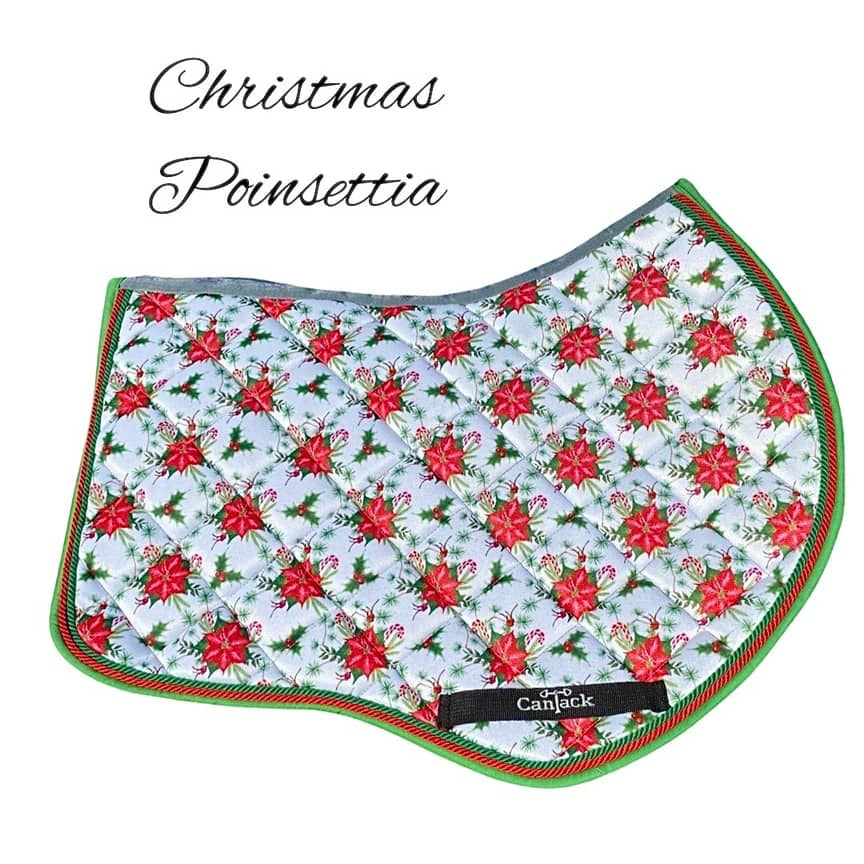 Christmas Jumper Pads - Poinsettia