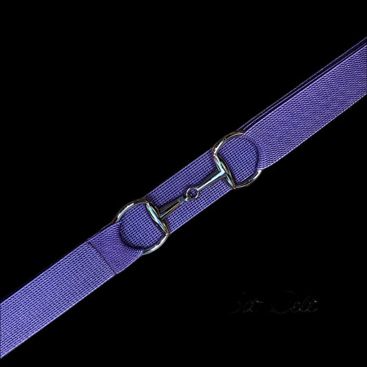 Bit Belts - Purple