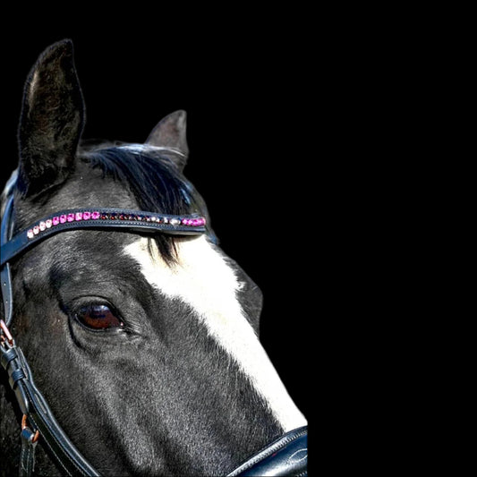 IceT Single Row Browbands - Full 16" - Black Base/ Style - Tina