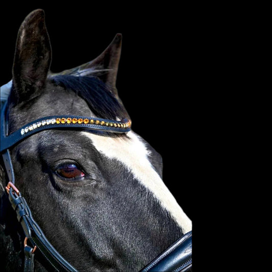 IceT Single Row Browbands -  Full 16" - Black Base / Style - Honey