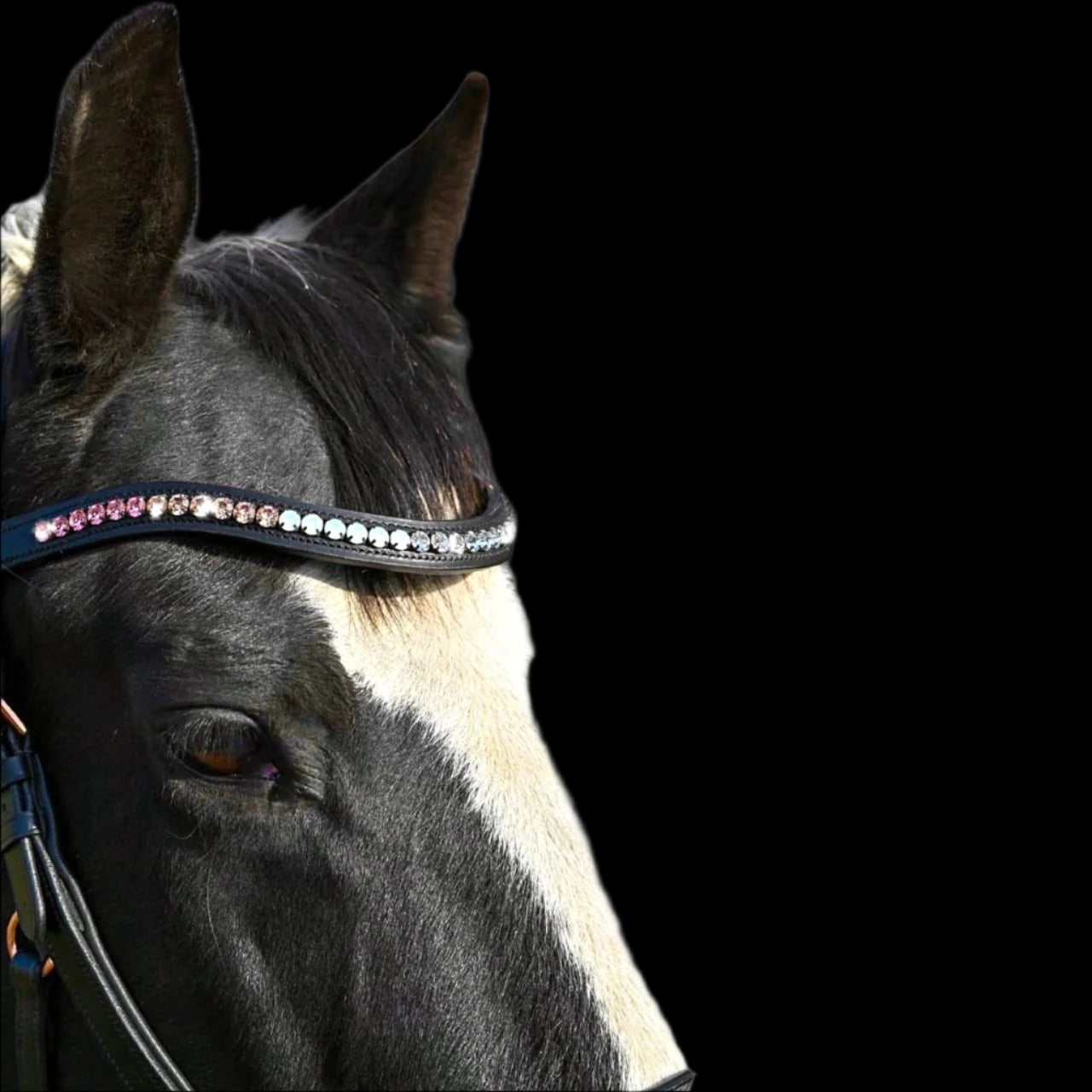 IceT Single Row Browbands - Black Base - Aurora Rose