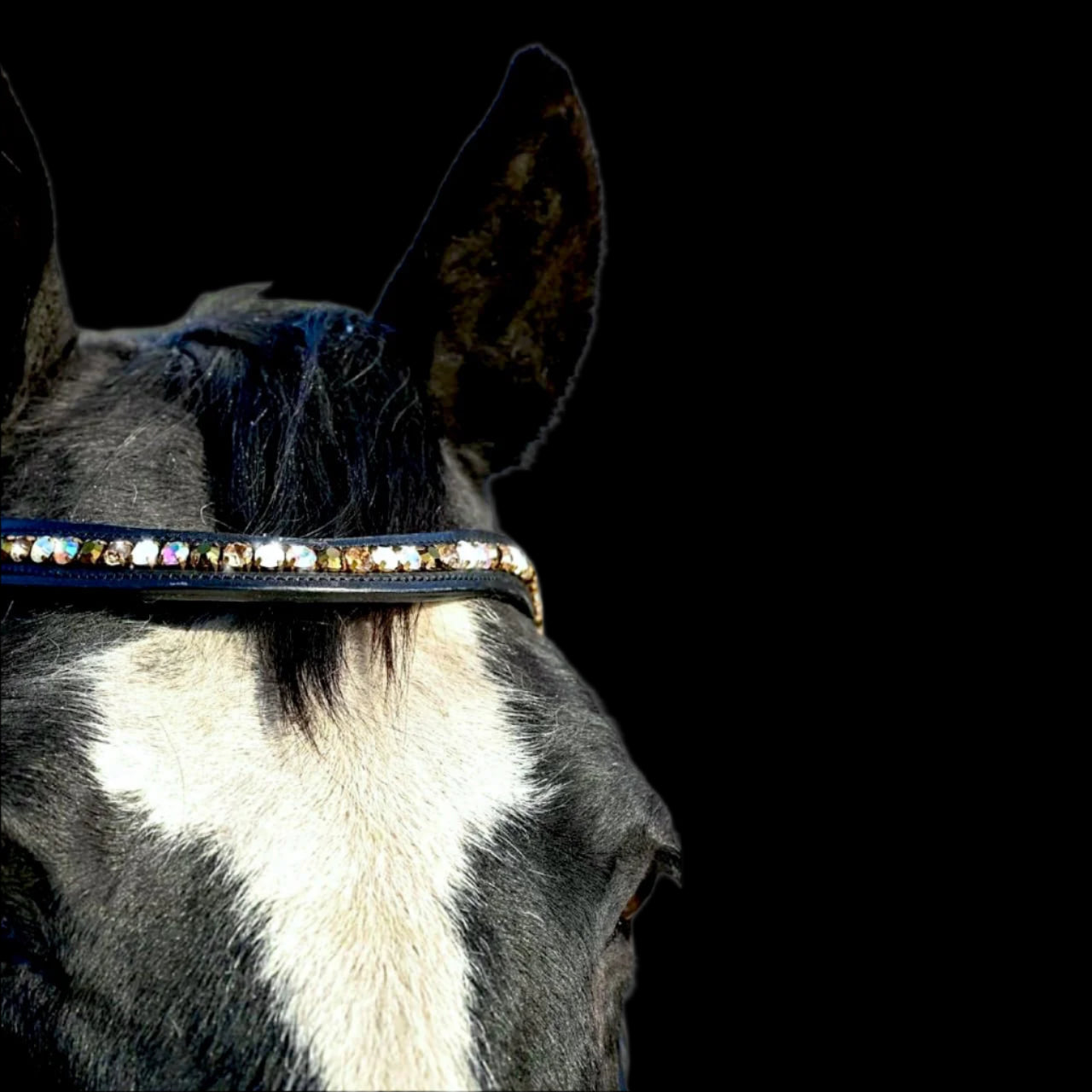 IceT Single Row Browbands - Black Base - Champagne