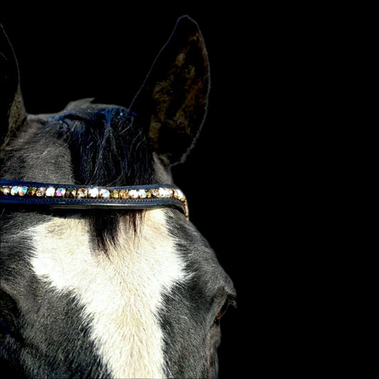 IceT Single Row Browbands - Black Base - Champagne