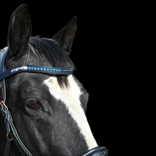 IceT Single Row Browbands -  Cob 15" - Black Base/ Style - Blue