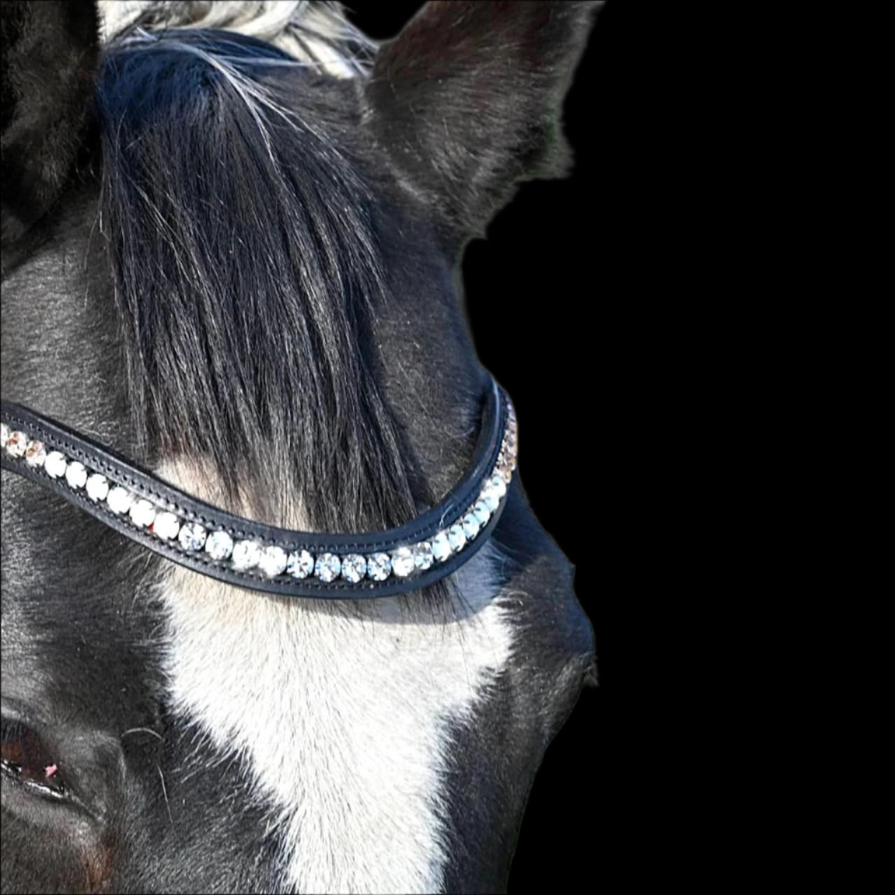 IceT Single Row Browbands - Black Base - High Shine