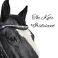 IceT Single Row Browbands - Full 16" - Black Base