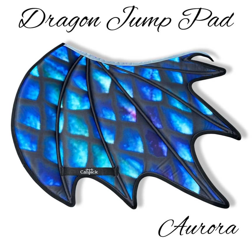 Dragon Jumper Pads - Aurora