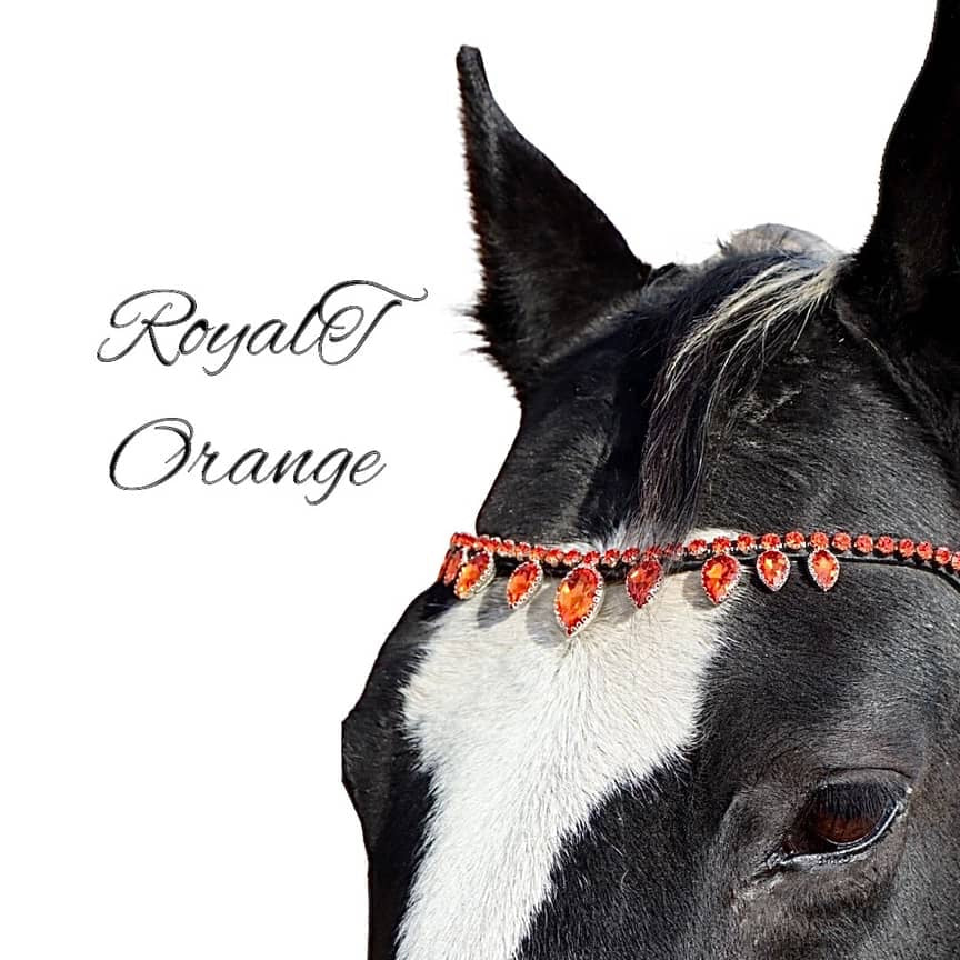 Royal T Browbands - Pony 14"