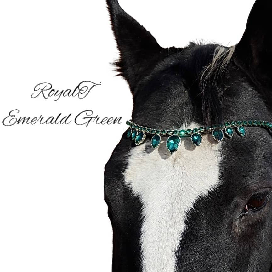 Royal T Browbands - Pony 14"