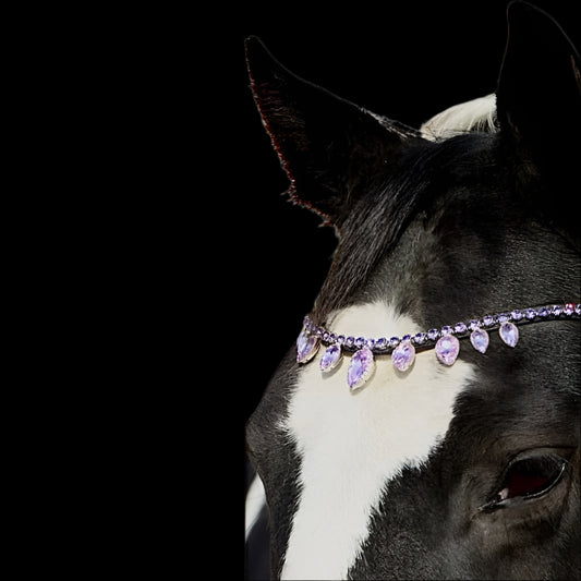 Royal T Browbands - Full 16" Lilac