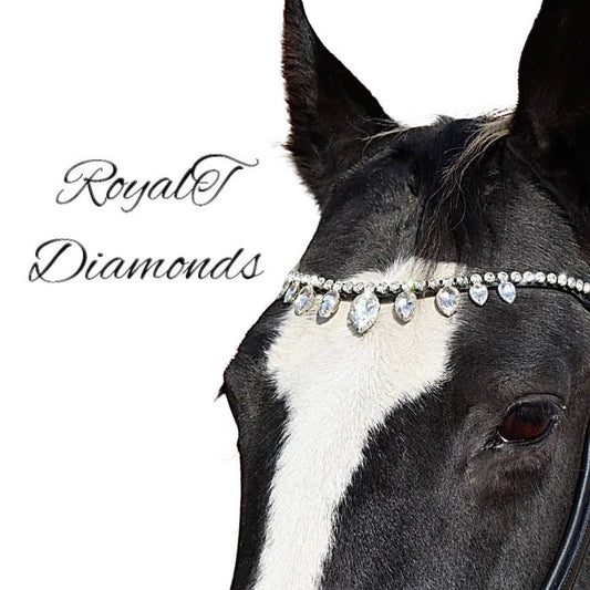 Royal T Browbands - X-Full 17"