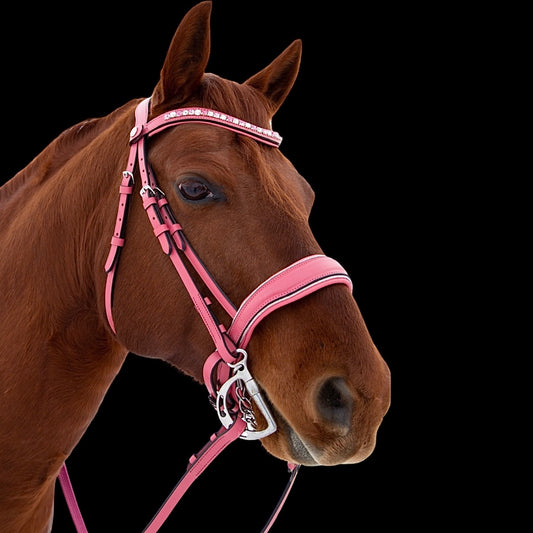 Bridle - Pink - Cob