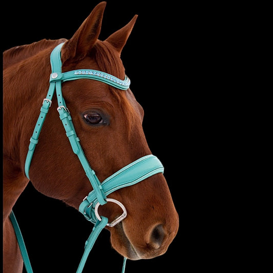 Bridle - Turquoise - Cob