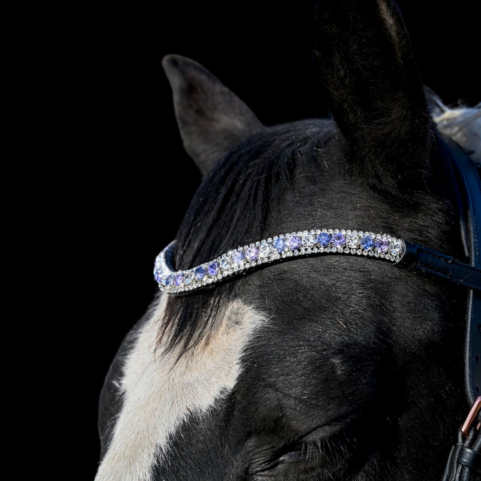 Browbands - Pony 14